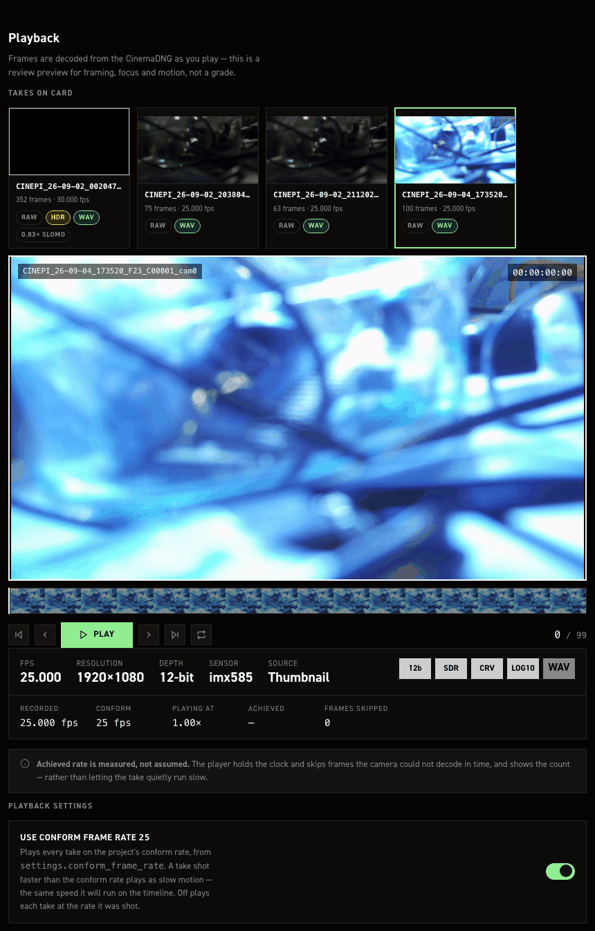 The Playback tab of the CineMate settings editor